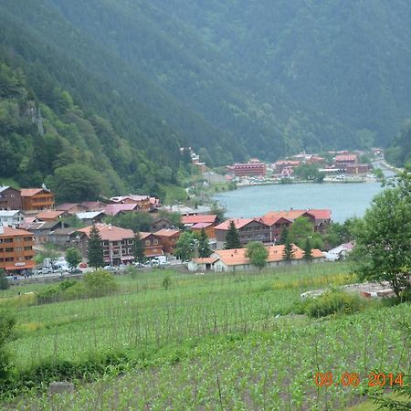 Zeren Pansiyon Kamalac Exterior foto